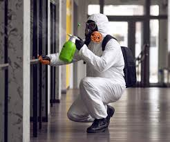 Best Environmental Consulting for Mold Prevention  in Woodward, IA